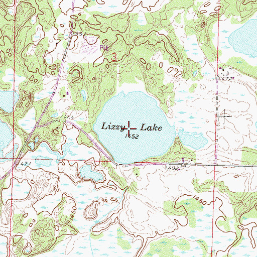 Topographic Map of Lizzy Lake, MN