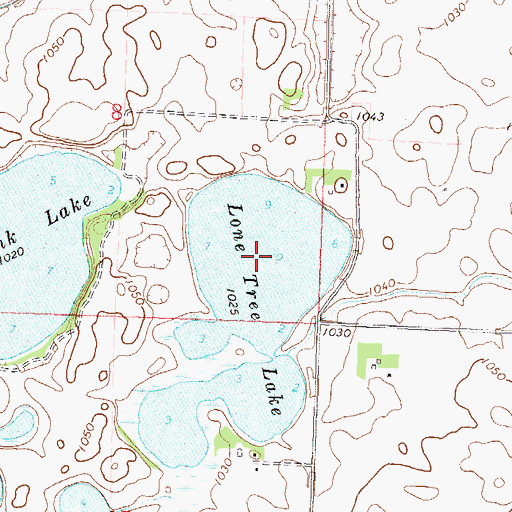 Topographic Map of Lone Tree Lake, MN
