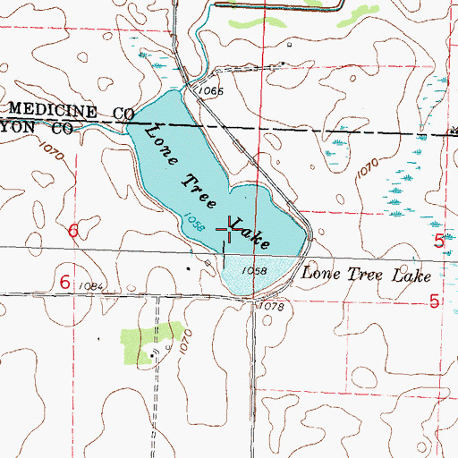 Topographic Map of Lone Tree Lake, MN