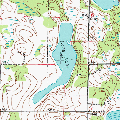 Topographic Map of Long Lake, MN
