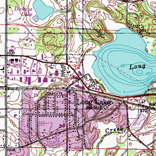 Topographic Map of Long Lake, MN