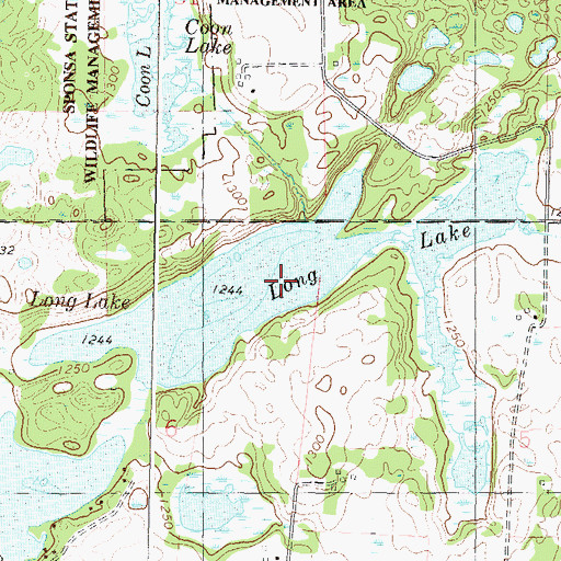 Topographic Map of Long Lake, MN