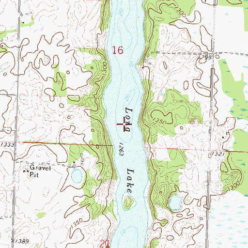 Topographic Map of Long Lake, MN