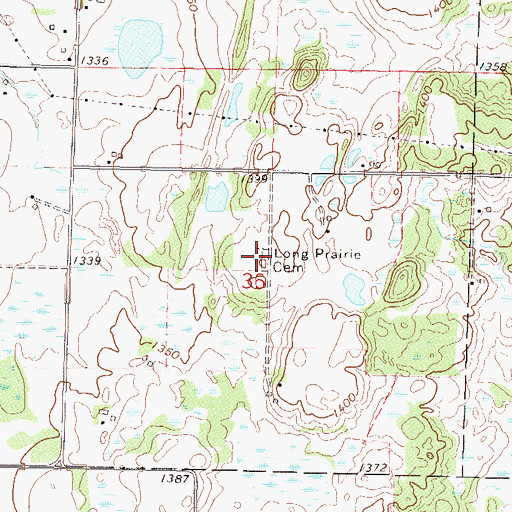 Topographic Map of Long Prairie Cemetery, MN