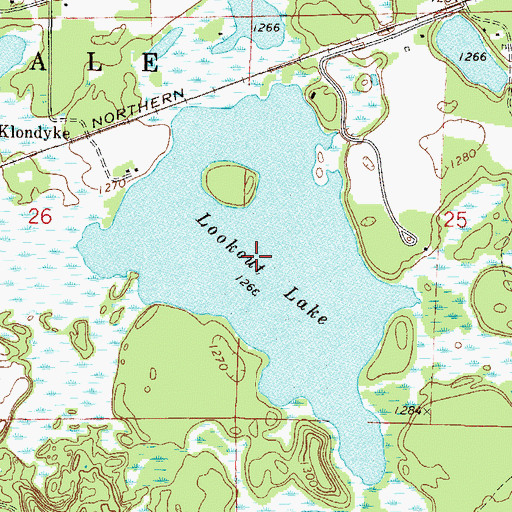 Topographic Map of Lookout Lake, MN