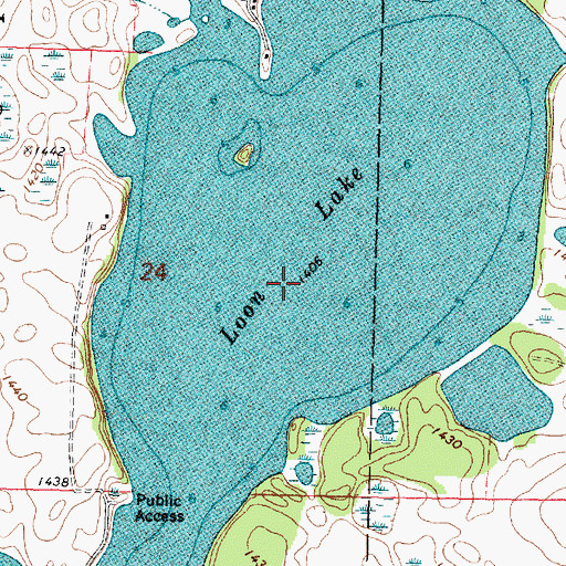 Topographic Map of Loon Lake, MN