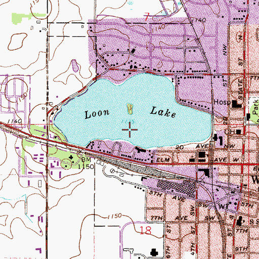 Topographic Map of Loon Lake, MN
