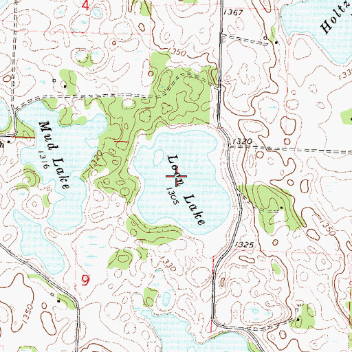 Topographic Map of Loon Lake, MN