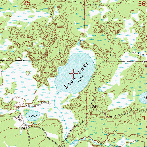 Topographic Map of Loon Lake, MN