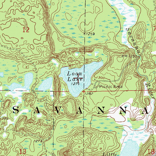 Topographic Map of Loon Lake, MN