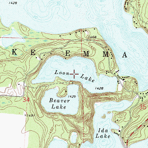 Topographic Map of Loon Lake, MN