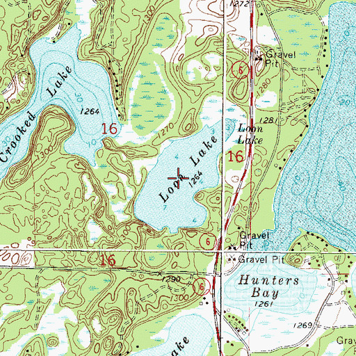 Topographic Map of Loon Lake, MN