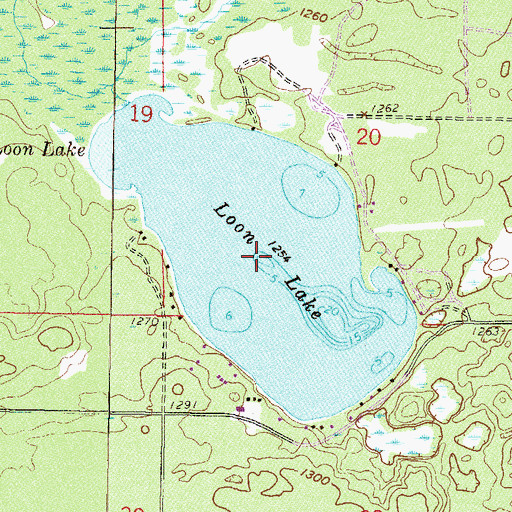Topographic Map of Loon Lake, MN