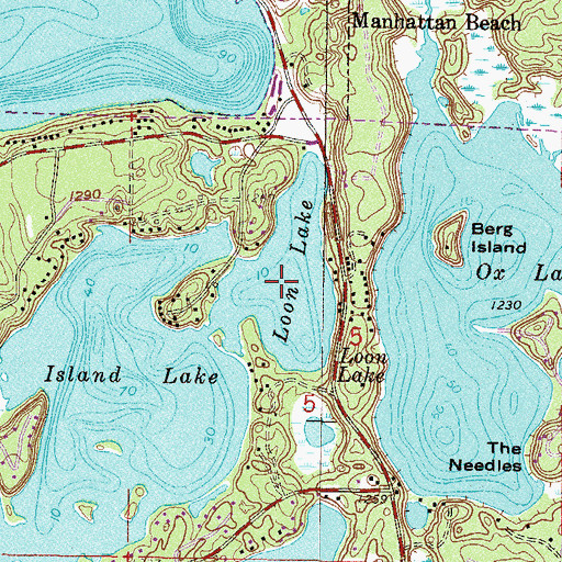 Topographic Map of Loon Lake, MN