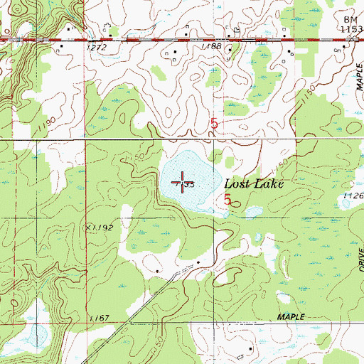 Topographic Map of Lost Lake, MN