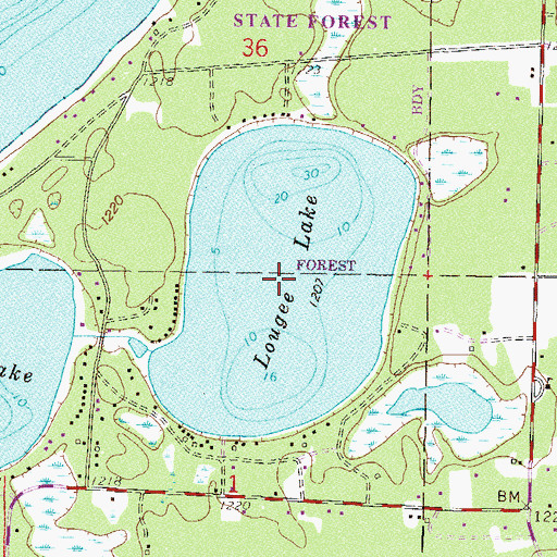Topographic Map of Lougee Lake, MN