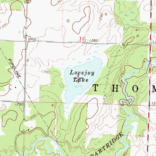 Topographic Map of Lovejoy Lake, MN