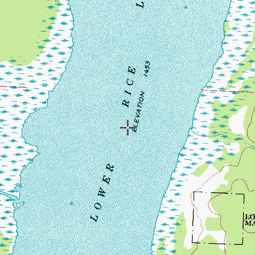 Topographic Map of Lower Rice Lake, MN