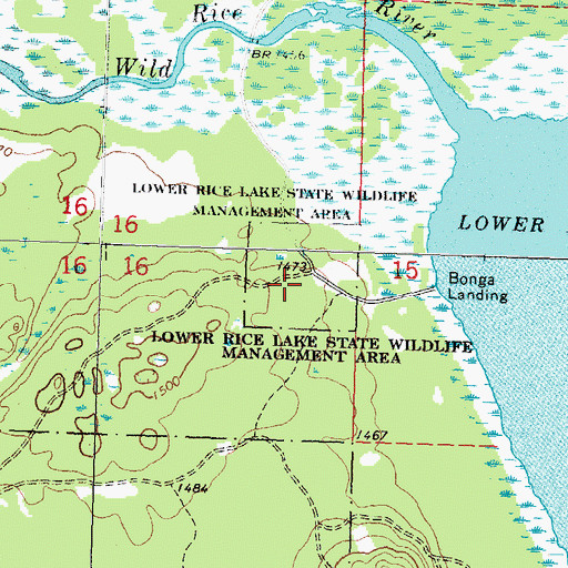 Topographic Map of Lower Rice Lake State Wildlife Management Ar, MN