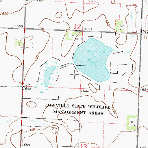 Topographic Map of Lowville State Wildlife Management Areas, MN