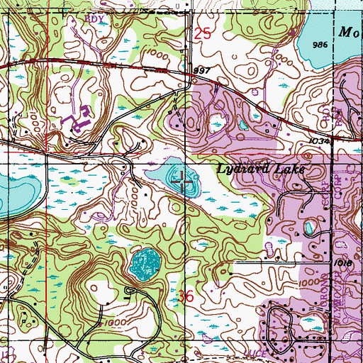 Topographic Map of Lydiard Lake, MN