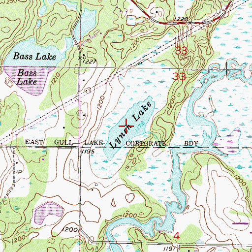 Topographic Map of Lynch Lake, MN