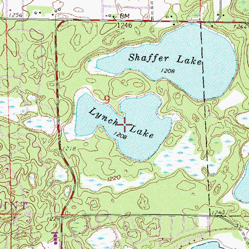 Topographic Map of Lynch Lake, MN