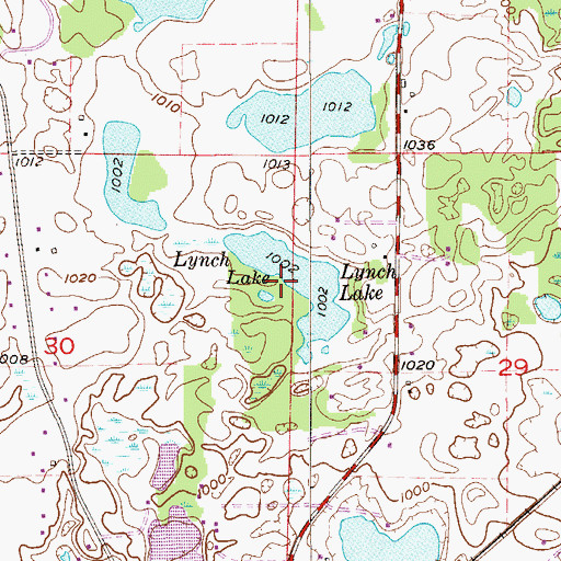 Topographic Map of Lynch Lake, MN