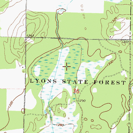 Topographic Map of Lyons State Forest, MN