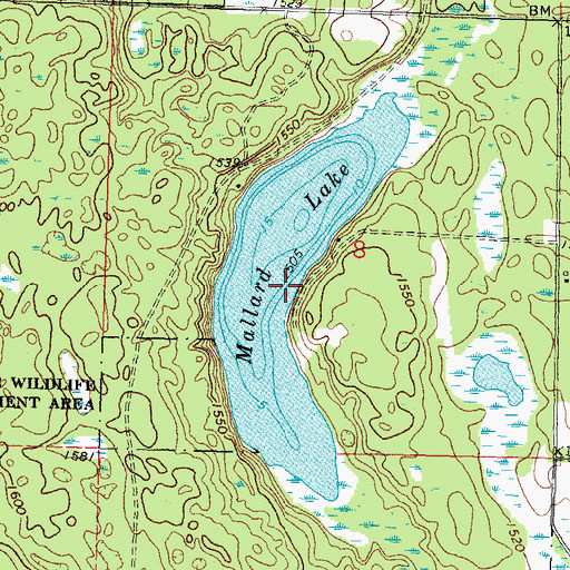 Topographic Map of Mallard Lake, MN