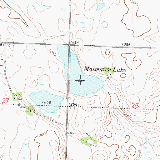 Topographic Map of Malmgren Lake, MN