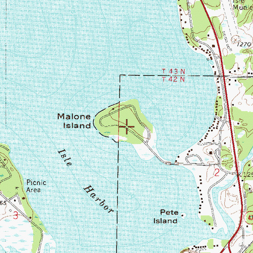 Topographic Map of Malone Island, MN