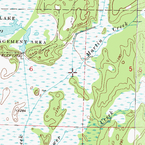 Topographic Map of Martin Creek, MN