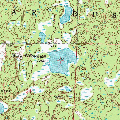 Topographic Map of Mary Yellowhead Lake, MN