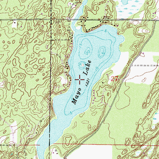 Topographic Map of Mayo Lake, MN