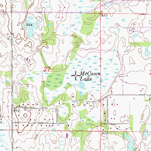 Topographic Map of McCann Lake, MN