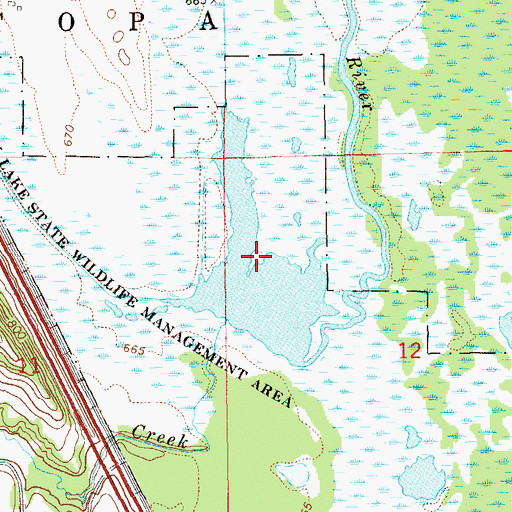 Topographic Map of McCarthy Lake, MN
