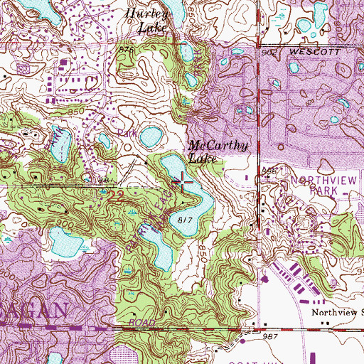 Topographic Map of McCarthy Lake, MN