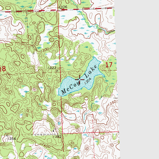 Topographic Map of McCoy Lake, MN