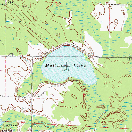 Topographic Map of McGuire Lake, MN
