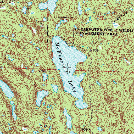 Topographic Map of McKenzie Lake, MN