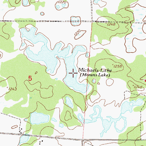 Topographic Map of Michaels Lake, MN