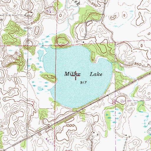 Topographic Map of Miller Lake, MN
