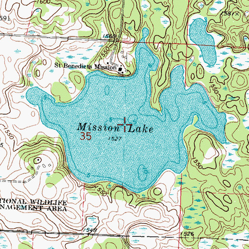Topographic Map of Mission Lake, MN
