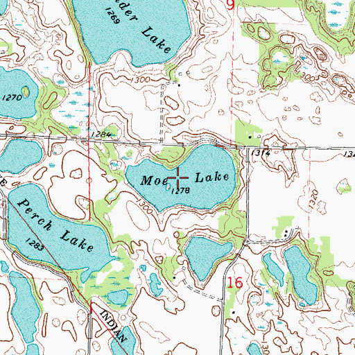 Topographic Map of Moe Lake, MN