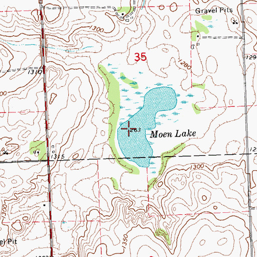 Topographic Map of Moen Lake, MN