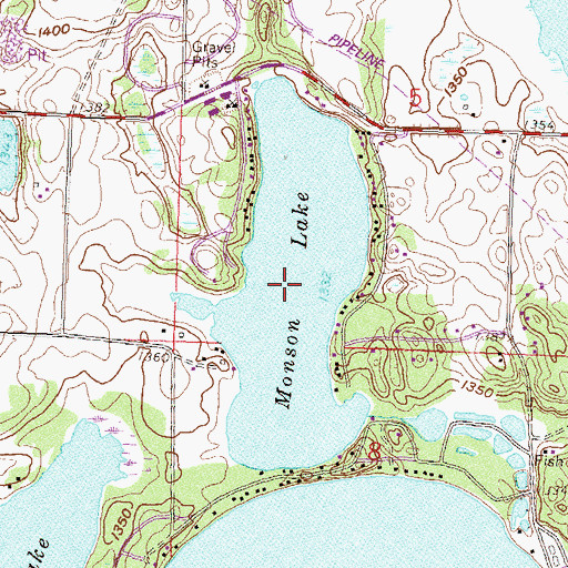 Topographic Map of Munson Lake, MN