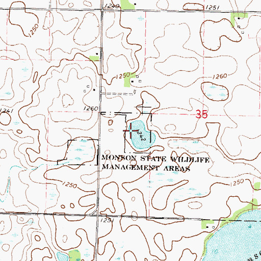 Topographic Map of Monson State Wildlife Management Areas, MN