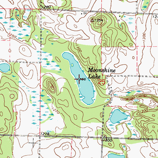 Topographic Map of Moonshine Lake, MN