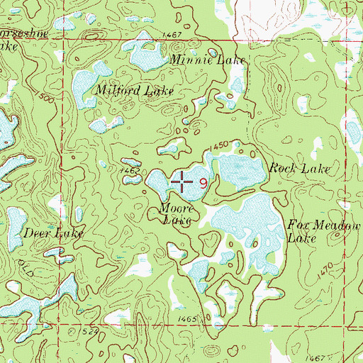 Topographic Map of Moore Lake, MN